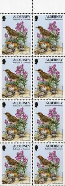 Anthus petrosus, Matthiola incana (booklet pane)