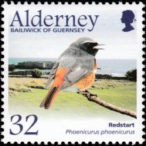 Common Redstart (Phoenicurus phoenicurus)