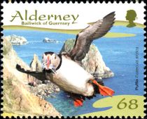 Atlantic Puffin (Fratercula arctica)