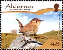 Wren (Troglodytes troglodytes)