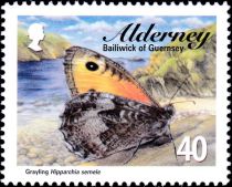 Grayling (Hipparchia semele)