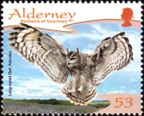 Long-eared Owl (Asio otus)