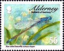 Blue-tailed Damselfly (Ischnura elegans)