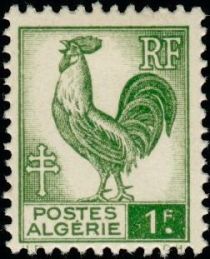 Gallic Cock (Gallus gallus domesticus)