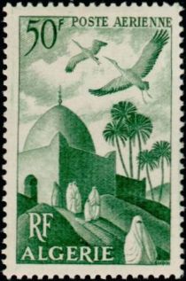 White Stork (Ciconia ciconia) over Minaret