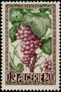 Grapes