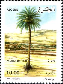 Date Palm