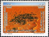 Aïn Hammou Tinerkouk-Adrar