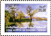 Wetland Guerbes-Skikda