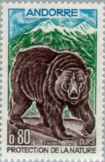 Brown Bear (Ursus arctos)