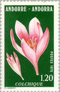 Colchicum autumnale