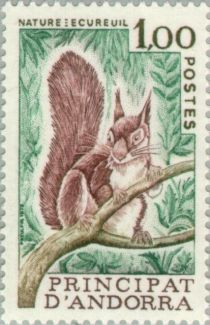 Eurasian Red Squirrel (Sciurus vulgaris)