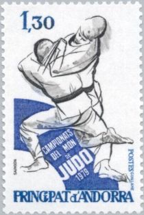 Judokas in the fight