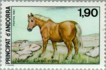 Mérens Pony (Equus ferus caballus)