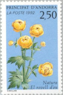 Trollius europaeus