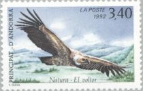 Griffon Vulture (Gyps fulvus)