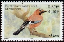 Eurasian Jay (Garrulus glandarius)