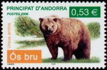 Brown Bear (Ursus arctos)