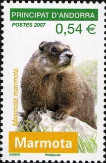 Alpine Marmot (Marmota marmota)