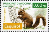 Eurasian Red Squirrel (Sciurus vulgaris)