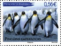 Emperor Penguin (Aptenodytes forsteri)