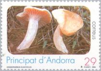 Hygrophorus glicyclus