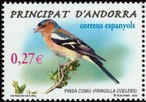 Common Chaffinch (Fringilla coelebs)