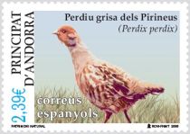 Grey Partridge (Perdix perdix)