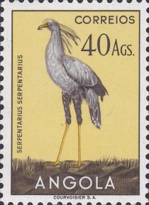 Secretarybird (Sagittarius serpentarius)