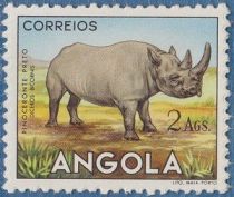 Black or Hook-lipped Rhinoceros (Diceros bicornis)