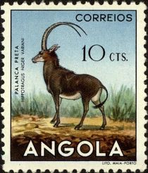 Giant Sable Antelope (Hippotragus niger variani)