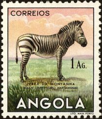 Hartmann's Mountain Zebra (Equus zebra hartmannae)