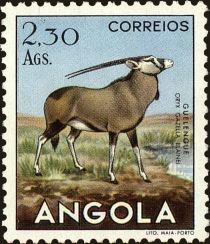 Gemsbok (Oryx gazella)