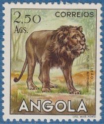 Lion (Panthera leo)