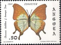 Charaxes kahldeni