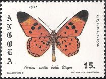 Fiery Acraea (Acraea acrita ssp. bella)