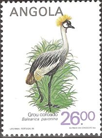 Grey crowned crane (Balearica regulorum)