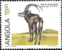 Giant Sable Antelope (Hippotragus niger variani)