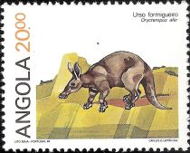 Aardvark (Orycteropus afer)