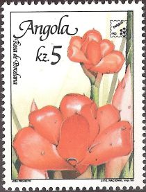 Flowers of Angola - Rosa de Porcelana