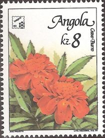 Flowers of Angola - Gravo Burro