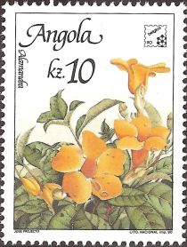 Flowers of Angola - Alamandra