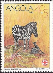 Zebra (Equus sp.)