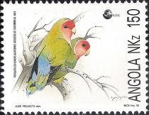 Rosy-faced Lovebird (Agapornis roseicollis catumbella)