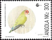 Rosy-faced Lovebird (Agapornis roseicollis catumbella)