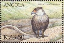 Crested Caracara (Polyborus plancus)