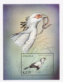 Secretarybird (Sagittarius serpentarius)