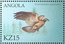 Golden Eagle (Aquila chrysaetos)