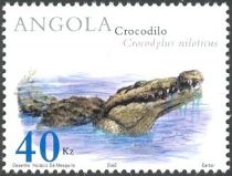 Nile Crocodile (Crocodylus niloticus)