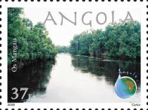 Mangroves at the banks of Rio Chiloango